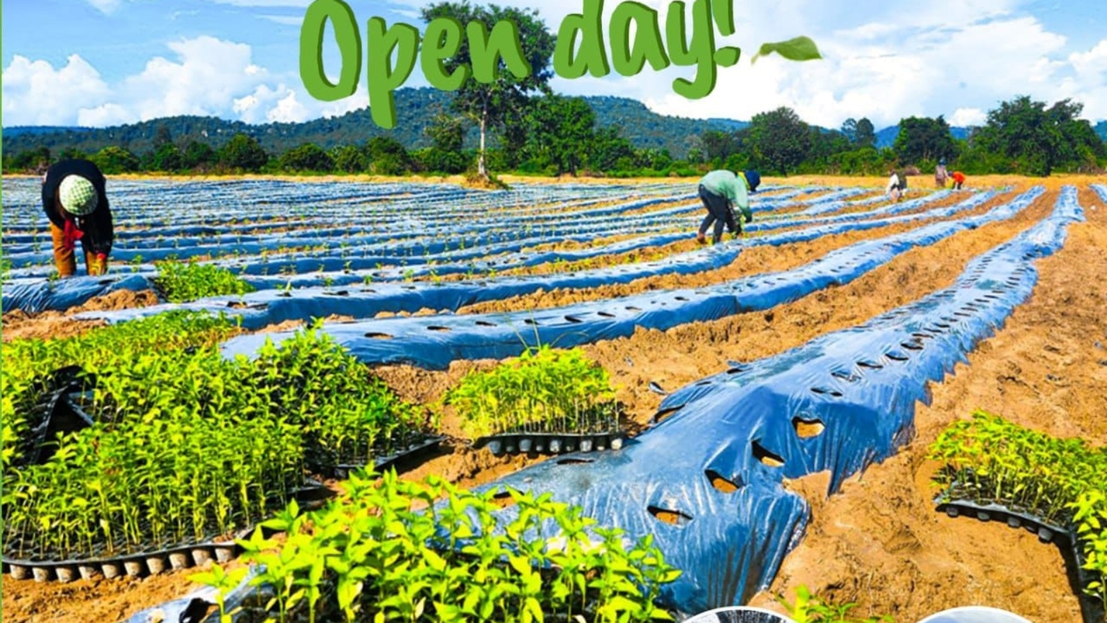 486759999_689794390246391_8484527656258114275_n