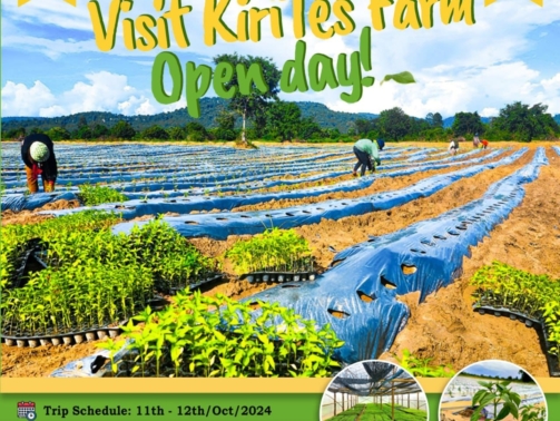 486759999_689794390246391_8484527656258114275_n